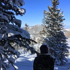 Meet your Posher, Carson